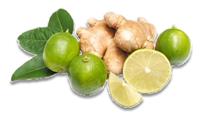 Ginger Lime